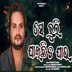 Sie Bhuli Jaichi Ta Jau